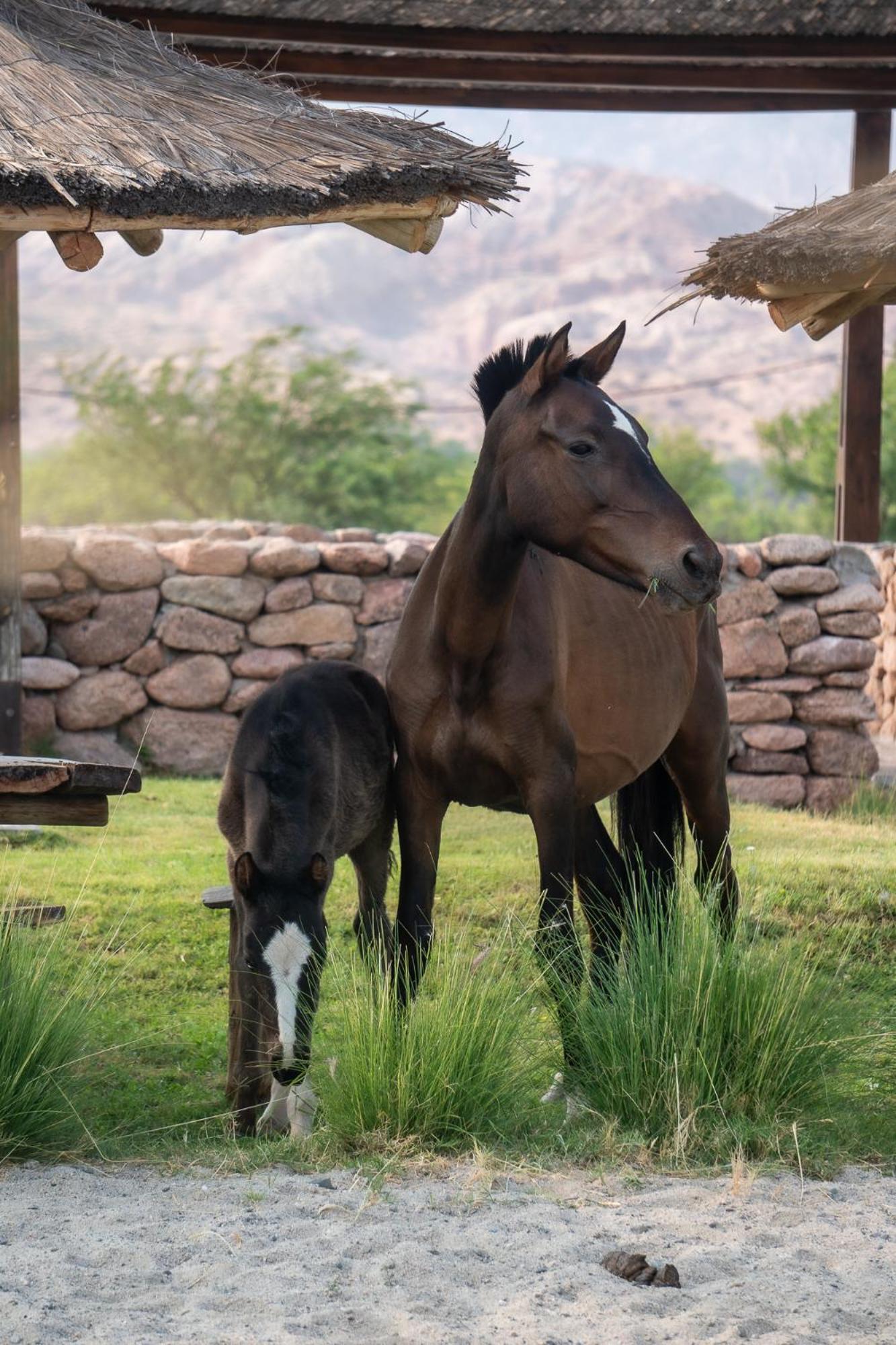 Hotel Castillos De Cafayate Ngoại thất bức ảnh