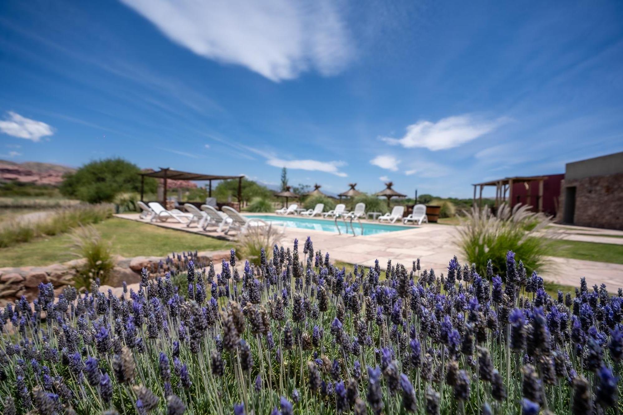 Hotel Castillos De Cafayate Ngoại thất bức ảnh